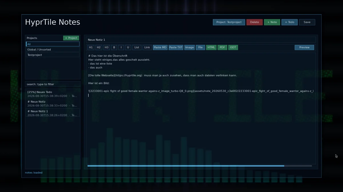 F6 Notes editor